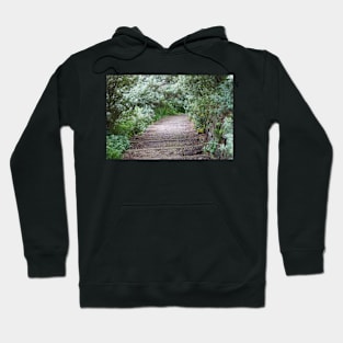 Enchanted Pathway Hoodie